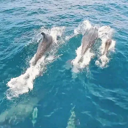 Вилла Acapulco By Algarve Vacation *