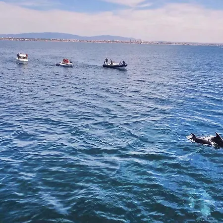 Acapulco By Algarve Vacation Вилла